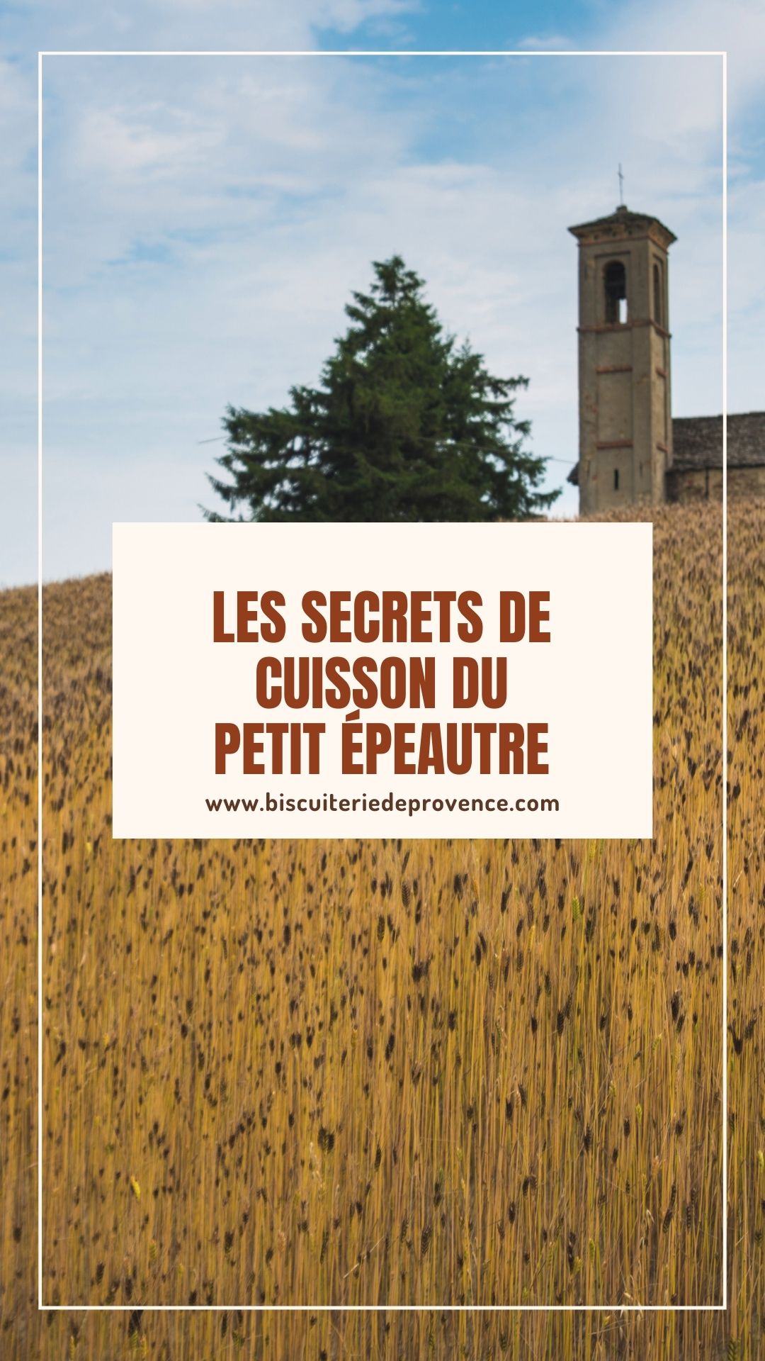 les secret de cuisson du petit épeautre